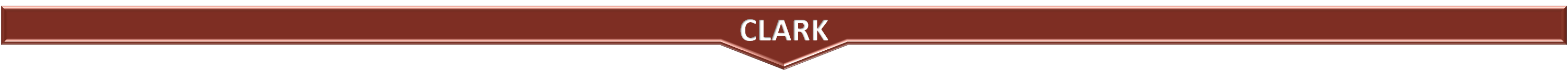 Banner Center
